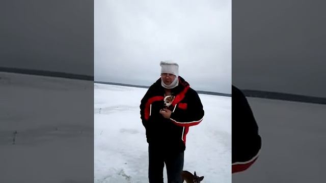 Самый большой рак за зиму.Карелия 2018 смотреть онлайн