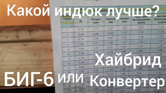 Кто лучше?Индюк Биг-6 или Хайбрид Конвертер