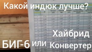 Кто лучше?Индюк Биг-6 или Хайбрид Конвертер