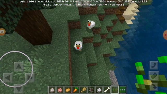 Животные - наша дружба