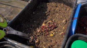 СЕКРЕТЫ ЛОВЛИ ЛЕЩА / ЛОВЛЯ ЛЕЩА НА ФИДЕР / FROS FISHING