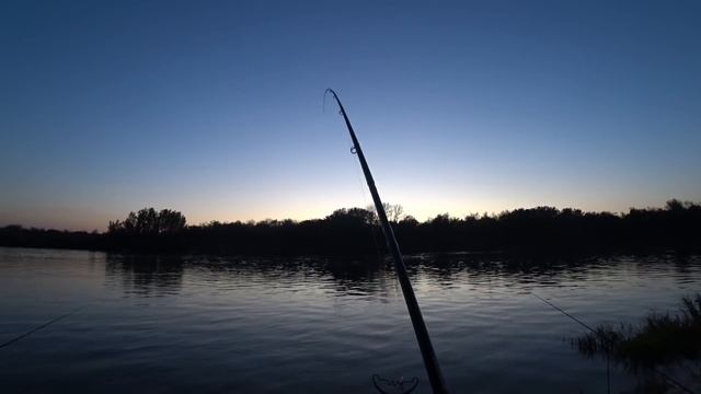 Осенняя РЫБАЛКА с НОЧЁВКОЙ на РЕКЕ закрытие сезона ФИДЕРНОЙ ловли 2020 Отличный КЛЁВ!!!Река ДОН смотреть онлайн