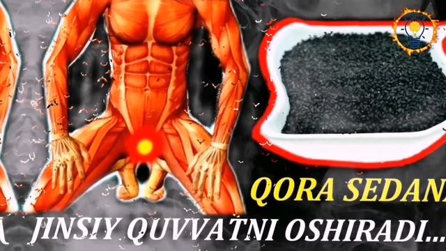 КОРА СЕДАНА ХАММА ДАРДГА ДАВО смотреть онлайн