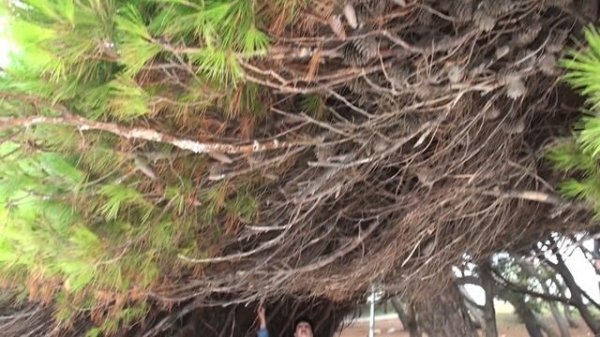 Рабац Истрия Хорватия | Rabac Istria Croatia