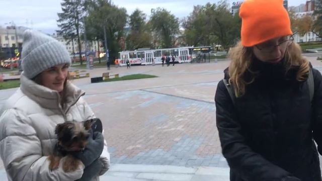 Влог 19 Открытый урок(отрывки) смотреть онлайн