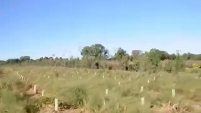 ZX Obama Is No  Longer Liked