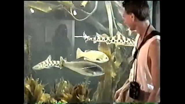 Cullan and Teresa at the Audubon Aquarium of the Americas in New Orleans, Louisiana in April 2001! смотреть онлайн