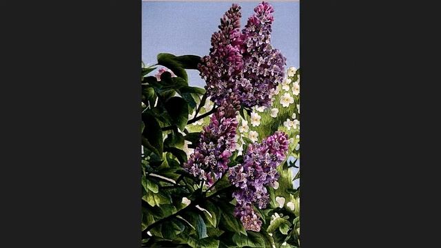 Сучжоуская вышивка шёлком (Китай) смотреть онлайн