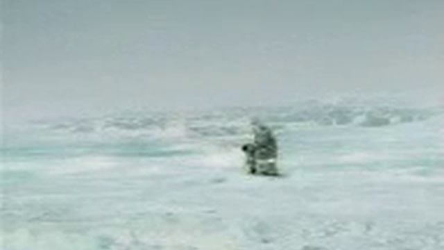 Касатка съела рыбака!!! смотреть онлайн