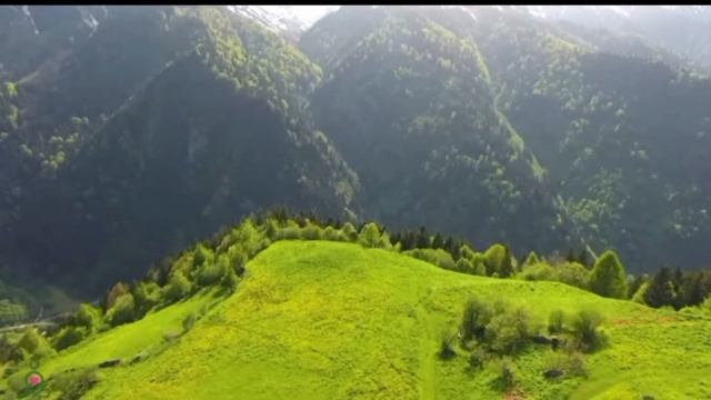 Интеллект Золотого Тельца. смотреть онлайн