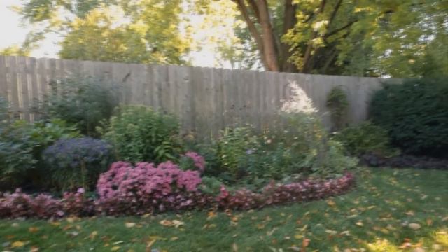 Attract Backyard Birds смотреть онлайн