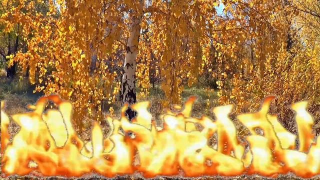 Movavi Video Suite 17: Огонь в видео смотреть онлайн