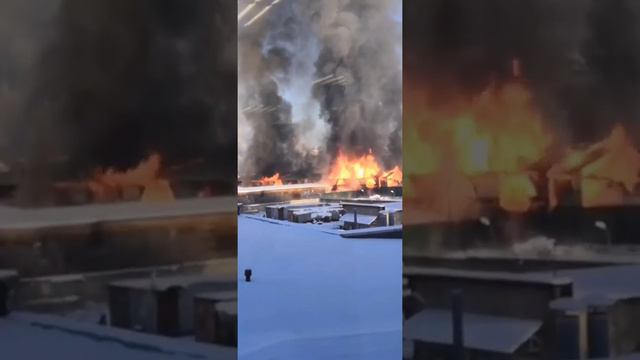 Сильный пожар в Ленинградской области смотреть онлайн