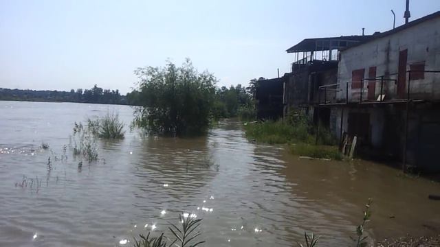 Китой поднялся 15.07.2015 смотреть онлайн