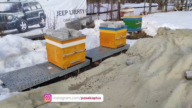 Начало пасечных дел) смотреть онлайн