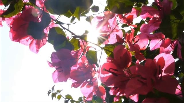 без веры Богу угодить не сможем...света путь смотреть онлайн