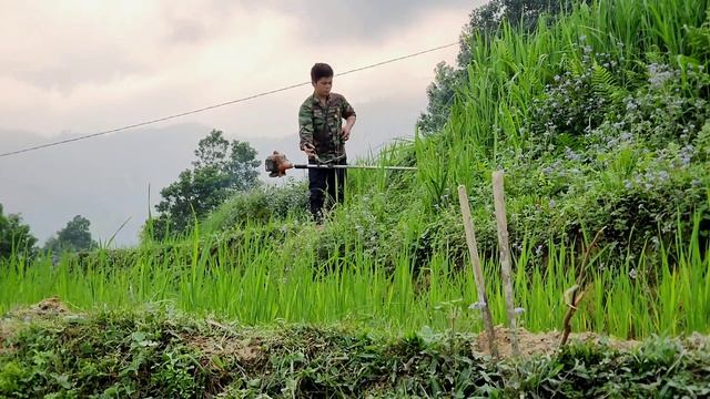 Weeding the fields, removing chicken coops and pig houses смотреть онлайн