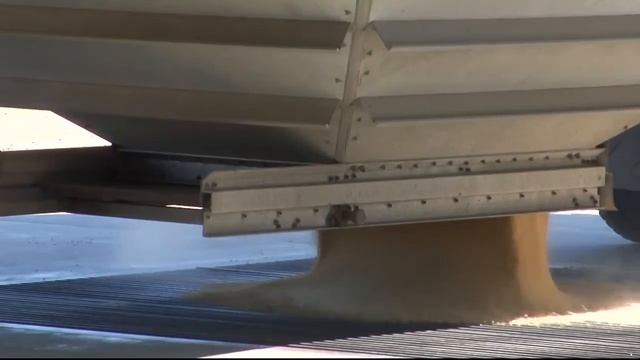 Montana Ag Network: Farmers react to USMCA deal смотреть онлайн