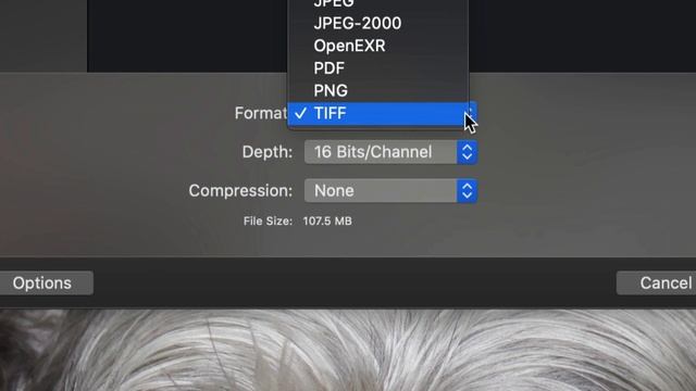 How to Convert Raw Images to JPEG-2000 on Mac for Free смотреть онлайн
