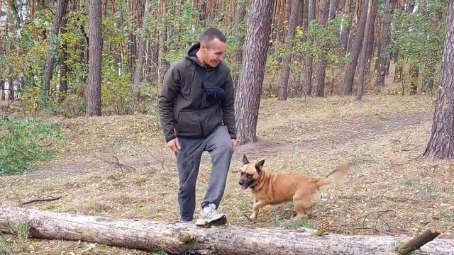 СПА ПРОЦЕДУРЫ , ОБЕД , ПРОГУЛКА , БАНЯ , МАССАЖ , ТАНЦЫ , ИГРЫ . Дышим свежим воздухом. ?Амбал? смотреть онлайн