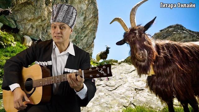 Частушки. Всего 2 АККОРДА! + интересный бой! смотреть онлайн