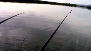 Рыбалка. Саратов, Пос Водник. Трофейная рыбалка