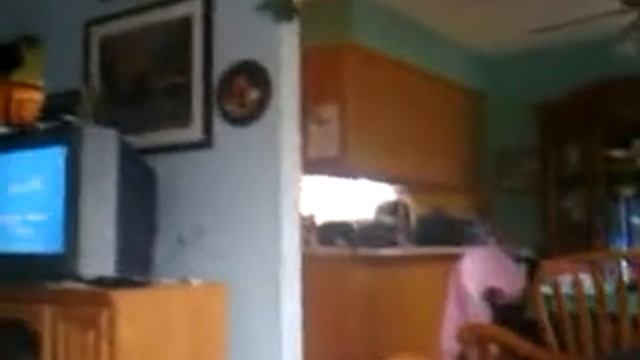 The Great Oracle of Blaine смотреть онлайн