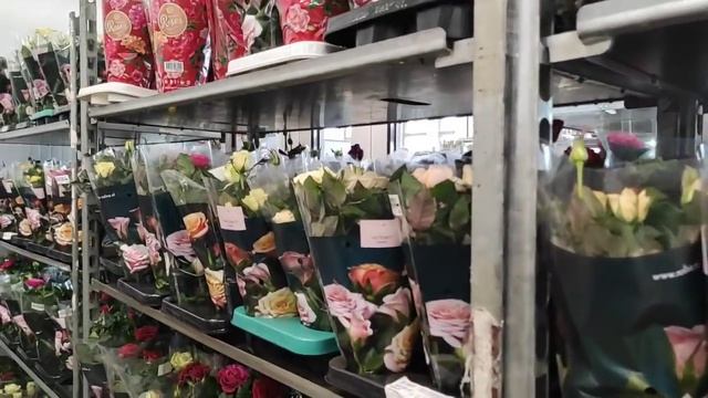 02.03.21. 7цветов оптовый склад.. ОРХИДЕИ и другие цветы смотреть онлайн