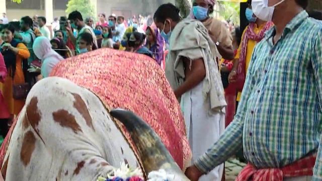 ГОПАШТАМИ. Маяпур