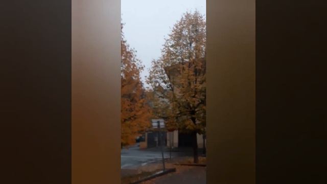 Ave Maria di Alessandro Malaspina Pola смотреть онлайн
