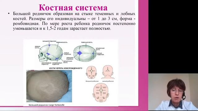 Пропедевтика детских болезней. АФО новорожденного ребенка смотреть онлайн