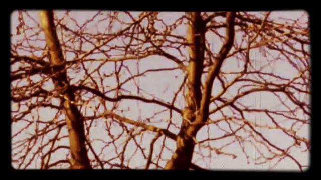 Andrius Pojavis -  Lietuva