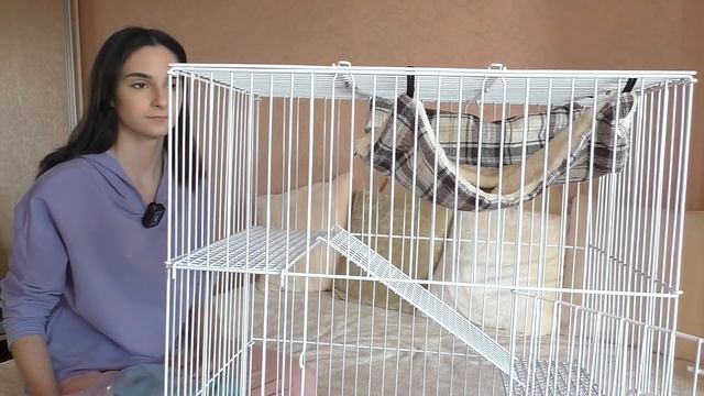 ПОДАРКИ к Новому Году / НОВАЯ КЛЕТКА для крысы / распаковка ЗООПОКУПКИ / Alisa Easy Pets смотреть онлайн