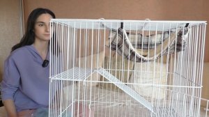 ПОДАРКИ  к Новому Году /  НОВАЯ КЛЕТКА для крысы / распаковка ЗООПОКУПКИ / Alisa Easy Pets