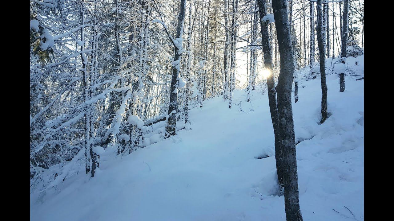 Зимний отдых смотреть онлайн