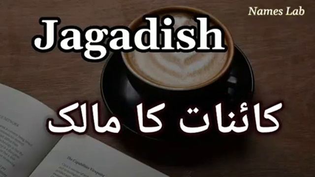 Jagadish Name Meaning in Hindi / Jagadish Ka Matlab / Jagadish Naam Ka Arth Kya Hai / Jagadish Ka смотреть онлайн