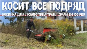 Такое КОШЕНИЕ ТРАВЫ взрывает "МОЗГ" , косилка для любого типа травы ZimAni LM 100 PRO...
