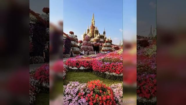 ВАЛЬС ЦВЕТОВ ! БОГ ВЕЛИКИЙ ТВОРЕЦ! смотреть онлайн