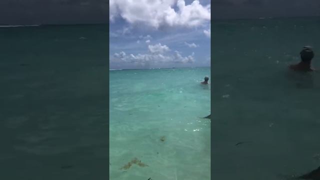 Punta Cana- Playa arena gorda смотреть онлайн