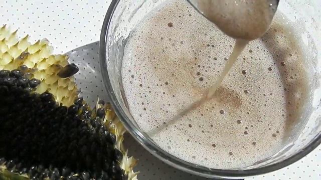 Живой подсолнечный кисель без варки и без крахмала смотреть онлайн