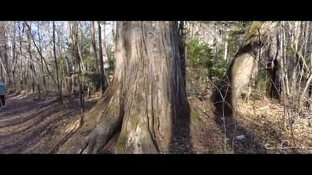 Смольные водопады смотреть онлайн