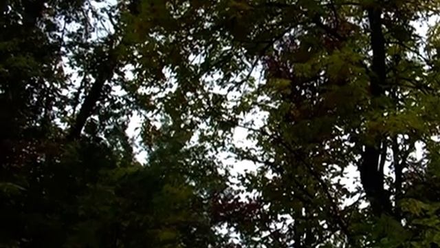 Panasonic VDR D300 test, футаж, пример смотреть онлайн