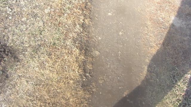 поиск монет  ! Эх ,Сибирская дорога !!