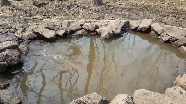 ВЫДРЁНОК ЗУБАРИК 25 АПРЕЛЯ 2018 Г. смотреть онлайн