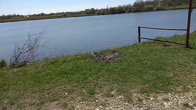 Трудовые будни на карантине.Как поживает малина_Вести с полей_ благоустройство участка..mp4