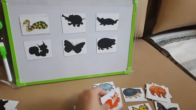 Развивающая игра с магнитами Найди тень животного смотреть онлайн