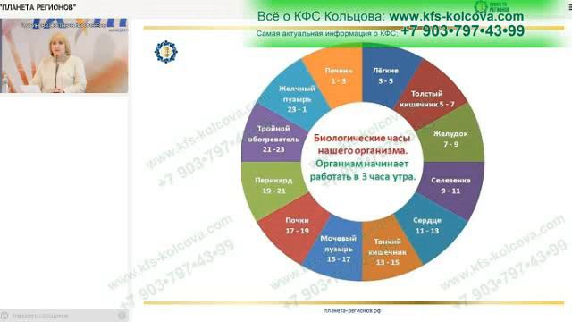 Лузгинова С.В 2022-09-07 «КФС №18 «СИНХРОНИЗАЦИЯ» и энергетический уровень органов Ч.1»#кфскольцов смотреть онлайн