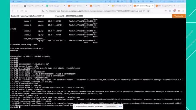 Launch and run Amazon FSx for NetApp ONTAP file systems - AWS Virtual Workshop смотреть онлайн
