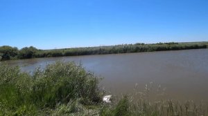 Судак на закидушку рабочий монтаж.