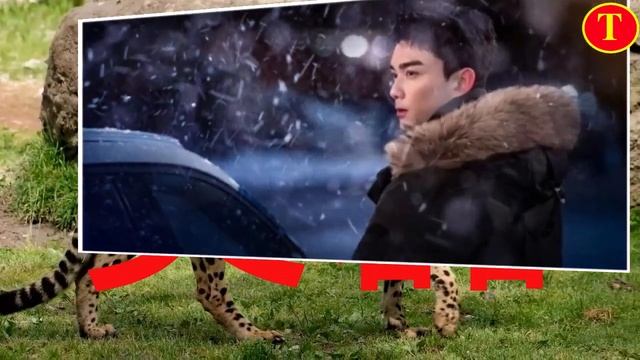 吴磊《在暴雪时分》开播倒计时 对角色精准把控获赞赏 смотреть онлайн